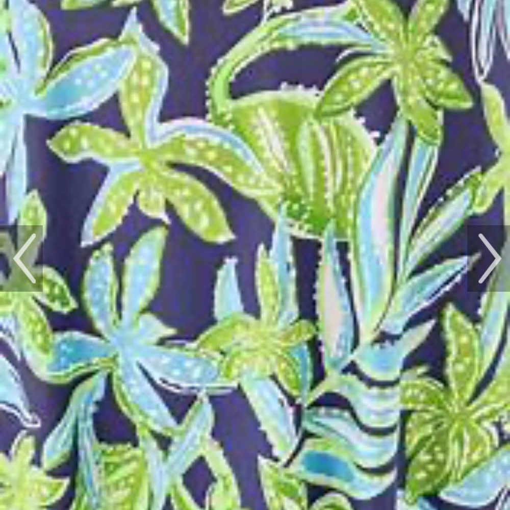 NWT Lilly Pulitzer Ophelia Swing Dress - Picture 2 of 8